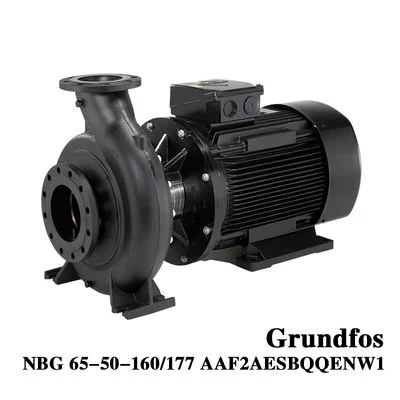 Grundfos NBG 65-50-160/177 Industrial Electric Horizontal Single Stage Volute Centrifugal Water Pump for Water Conservancy Projects